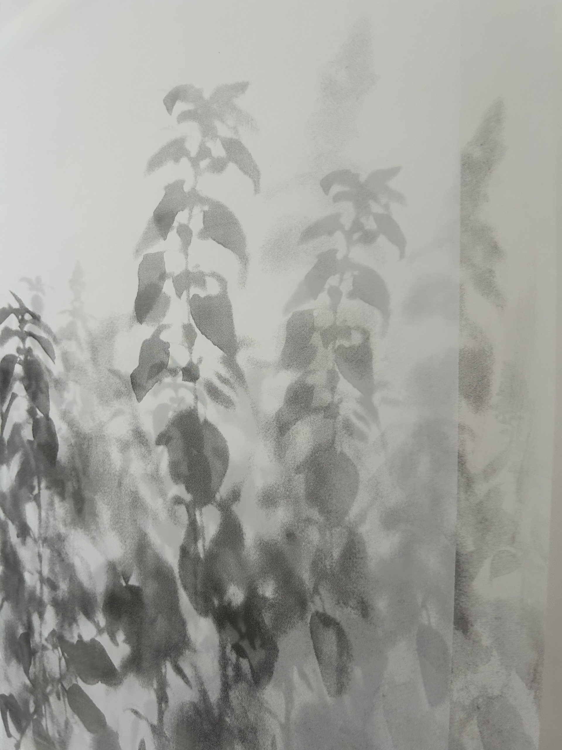 法特瑪・阿布杜哈迪-image